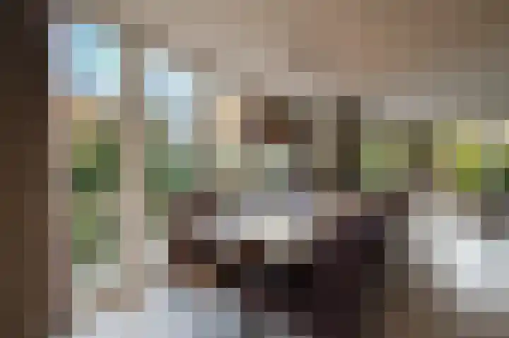 Beneden Molenweg 24 Beusichem thumbnail 4