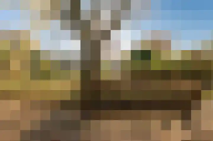 Beneden Molenweg 24 Beusichem thumbnail 41