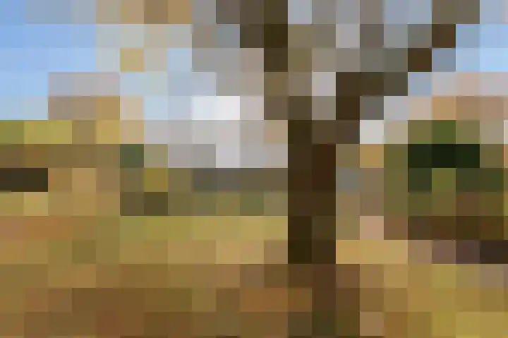 Beneden Molenweg 24 Beusichem thumbnail 42