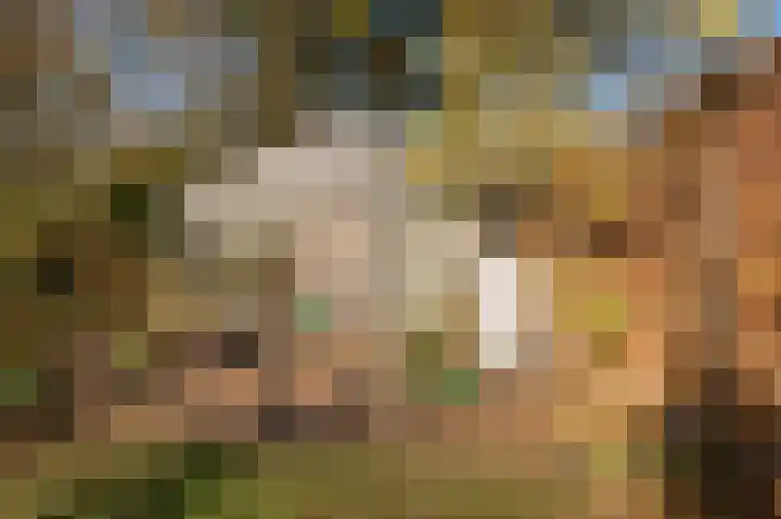 Beneden Molenweg 24 Beusichem thumbnail 43
