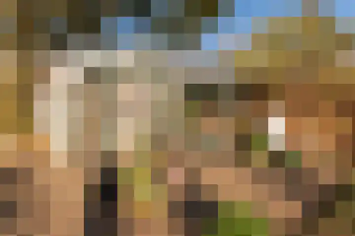 Beneden Molenweg 24 Beusichem thumbnail 44