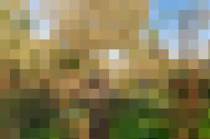 Beneden Molenweg 24 Beusichem thumbnail 49
