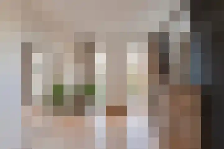 Beneden Molenweg 24 Beusichem thumbnail 5