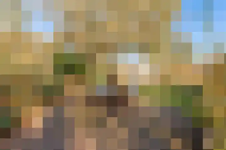 Beneden Molenweg 24 Beusichem thumbnail 50