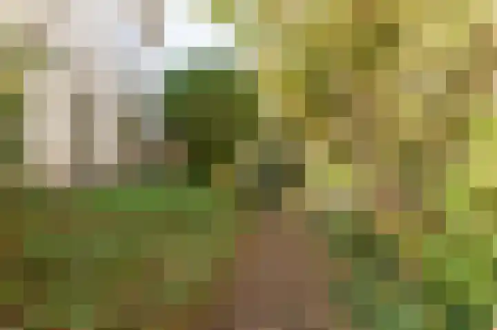 Beneden Molenweg 24 Beusichem thumbnail 51
