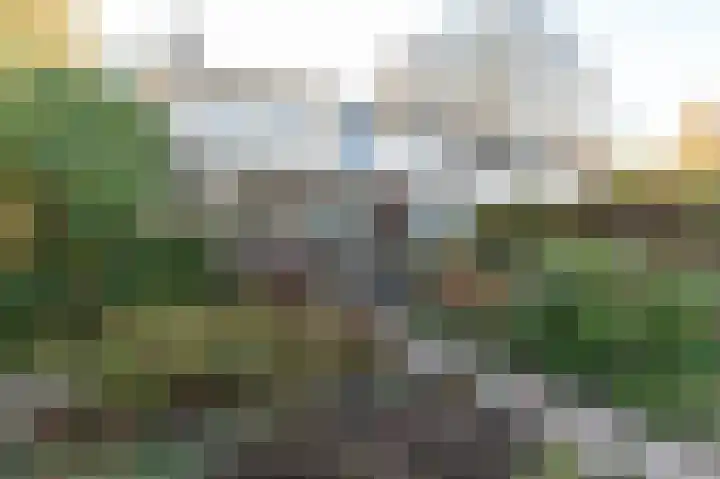 Beneden Molenweg 24 Beusichem thumbnail 53