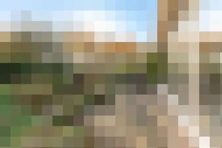 Beneden Molenweg 24 Beusichem thumbnail 62