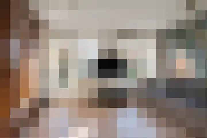 Beneden Molenweg 24 Beusichem thumbnail 65