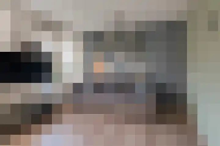 Beneden Molenweg 24 Beusichem thumbnail 66