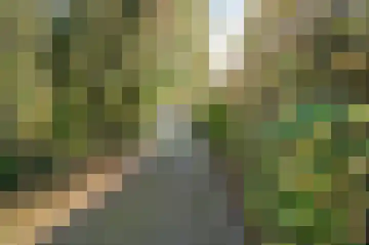 Beneden Molenweg 24 Beusichem thumbnail 80
