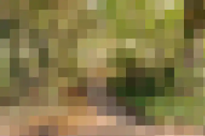 Beneden Molenweg 24 Beusichem thumbnail 81