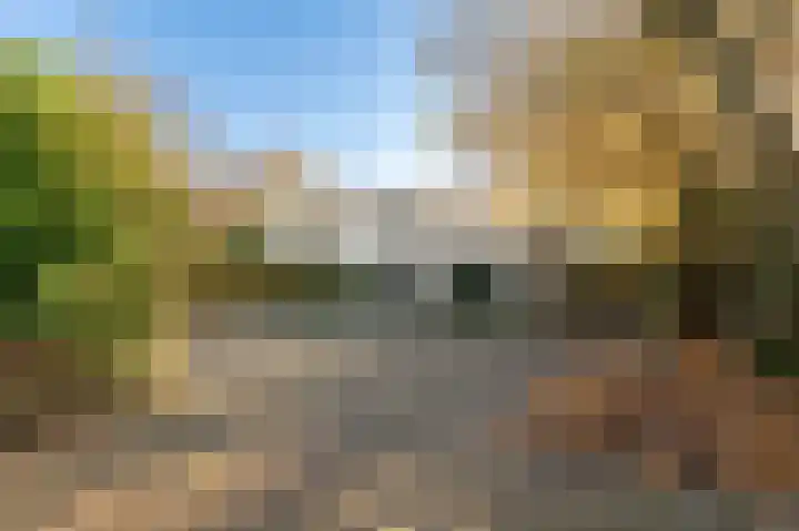 Beneden Molenweg 24 Beusichem thumbnail 84