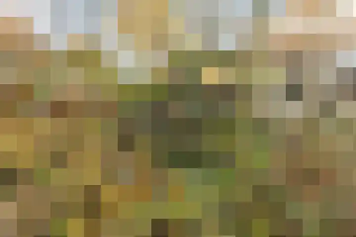Beneden Molenweg 24 Beusichem thumbnail 88