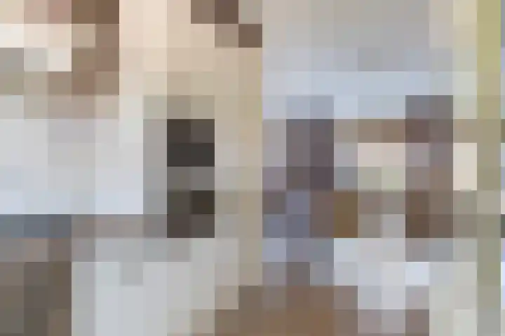 Beneden Nieuwstraat 17 Westmaas thumbnail 11