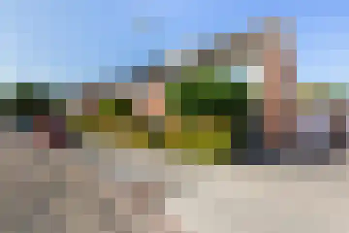 Beneden Nieuwstraat 17 Westmaas thumbnail 37