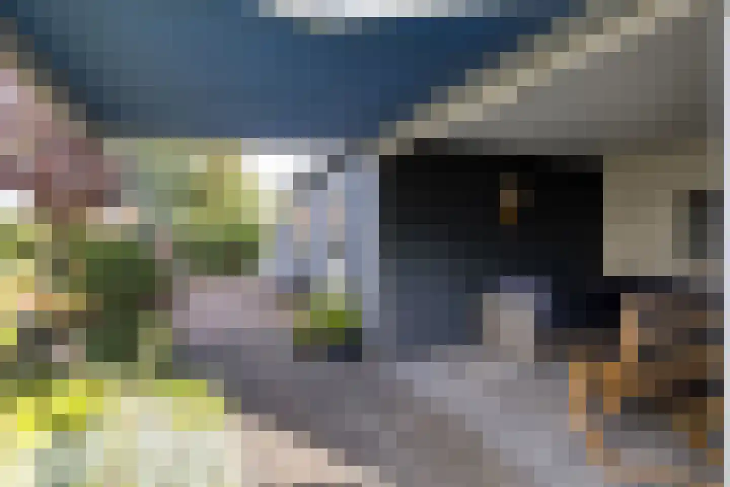 Beneden Oosterdiep 120 Veendam thumbnail 47