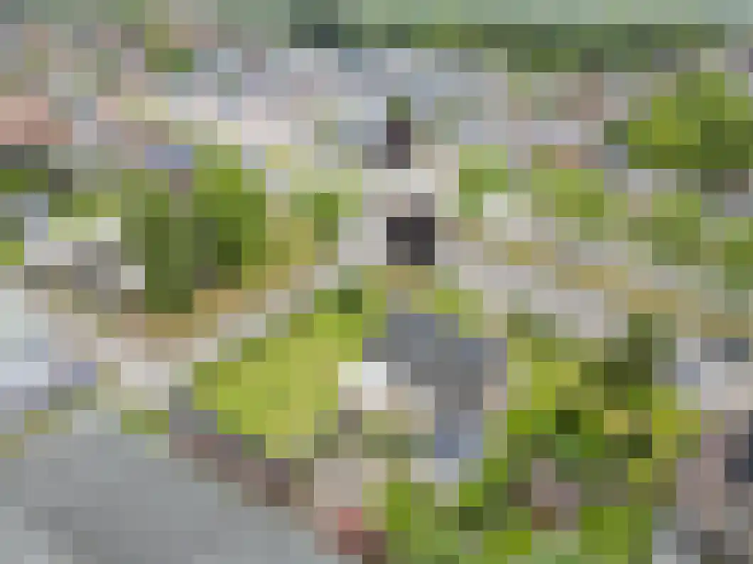 Beneden Oosterdiep 170 Veendam thumbnail 34