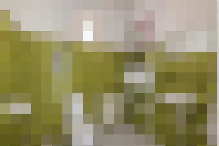Beneden Oosterdiep 199 Veendam thumbnail 17