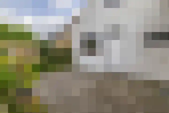 Beneden Oosterdiep 199 Veendam thumbnail 25