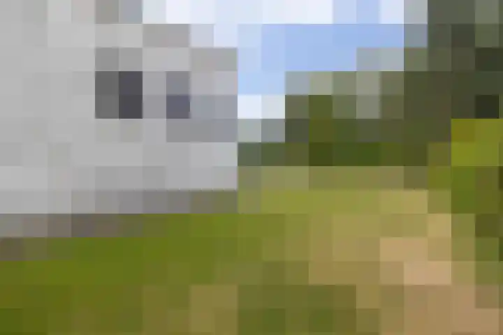 Beneden Oosterdiep 199 Veendam thumbnail 28