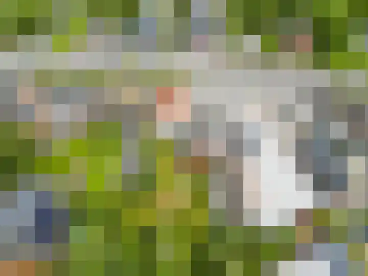 Beneden Oosterdiep 199 Veendam thumbnail 36