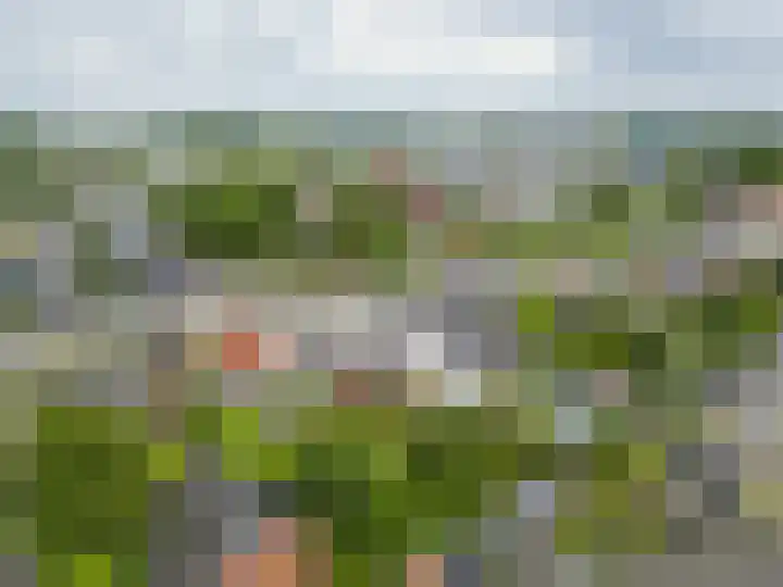 Beneden Oosterdiep 199 Veendam thumbnail 38