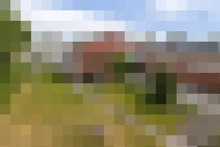 Beneden Oosterdiep 199 Veendam thumbnail 4