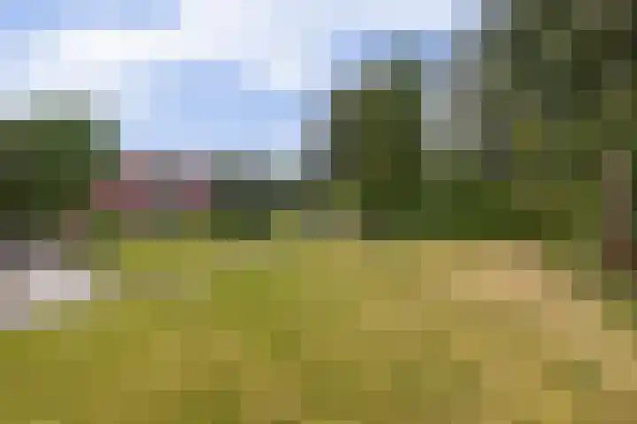 Beneden Oosterdiep 199 Veendam thumbnail 5