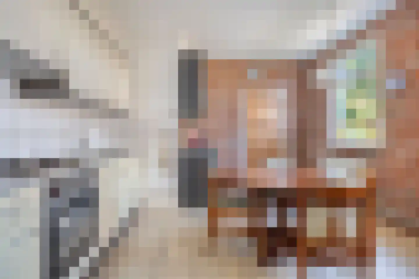 Beneden Oosterdiep 219 Veendam thumbnail 29