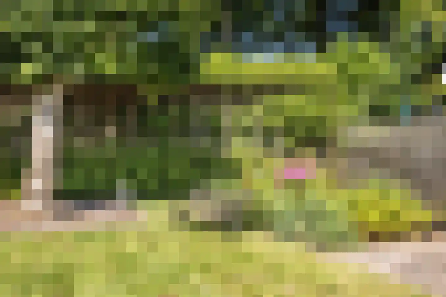 Beneden Oosterdiep 219 Veendam thumbnail 62