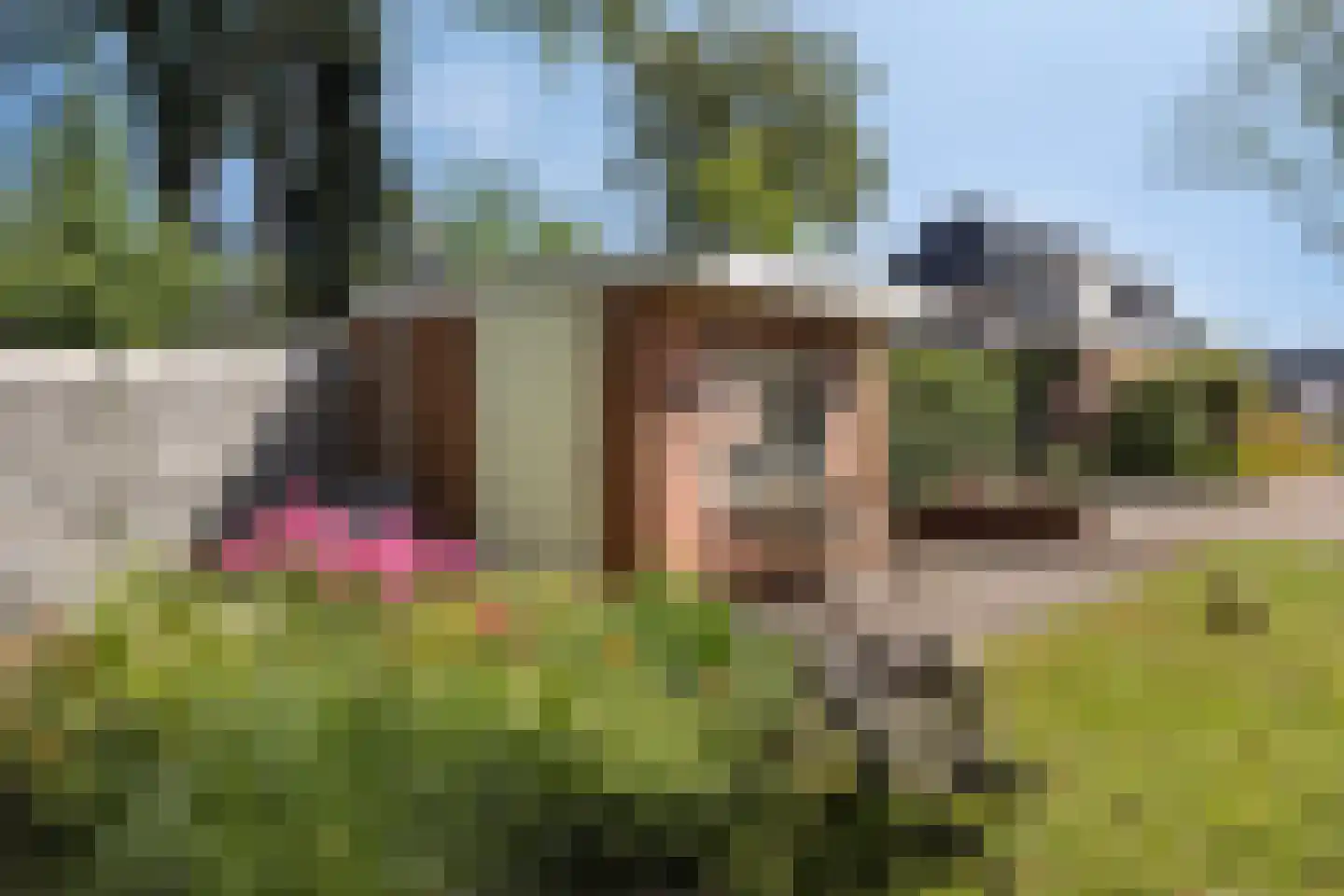 Beneden Oosterdiep 219 Veendam thumbnail 66