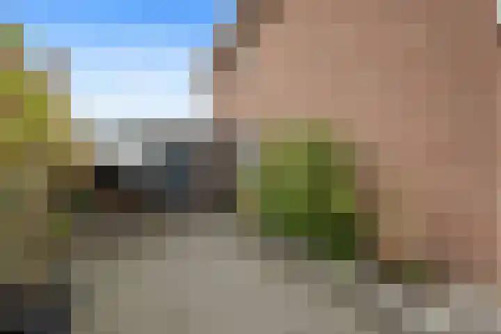 Beneden Oosterdiep 84 Veendam thumbnail 38