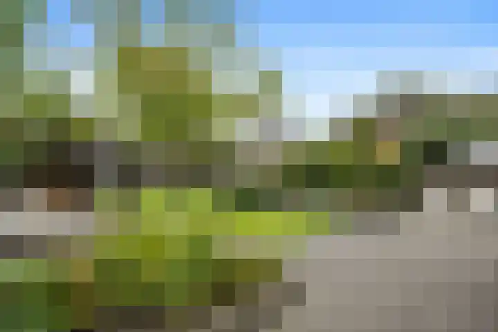 Beneden Oosterdiep 84 Veendam thumbnail 39