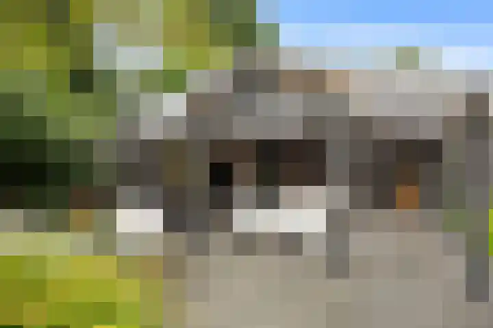 Beneden Oosterdiep 84 Veendam thumbnail 41
