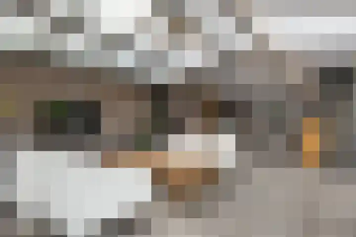 Beneden Oosterdiep 84 Veendam thumbnail 42