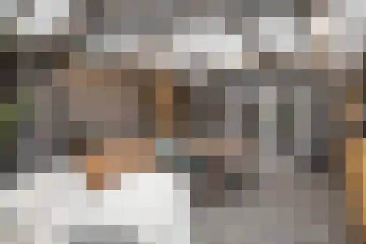Beneden Oosterdiep 84 Veendam thumbnail 43