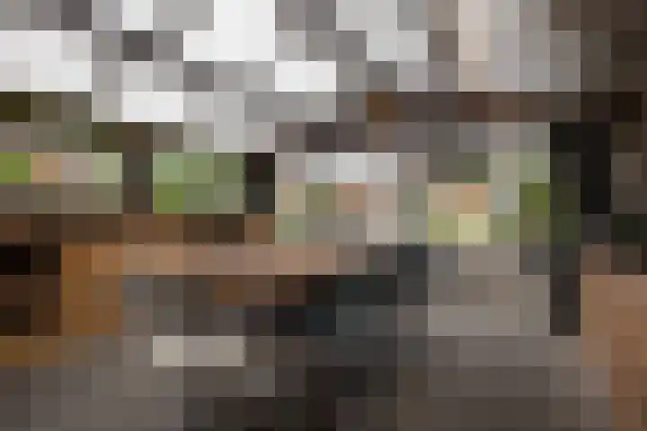 Beneden Oosterdiep 84 Veendam thumbnail 45