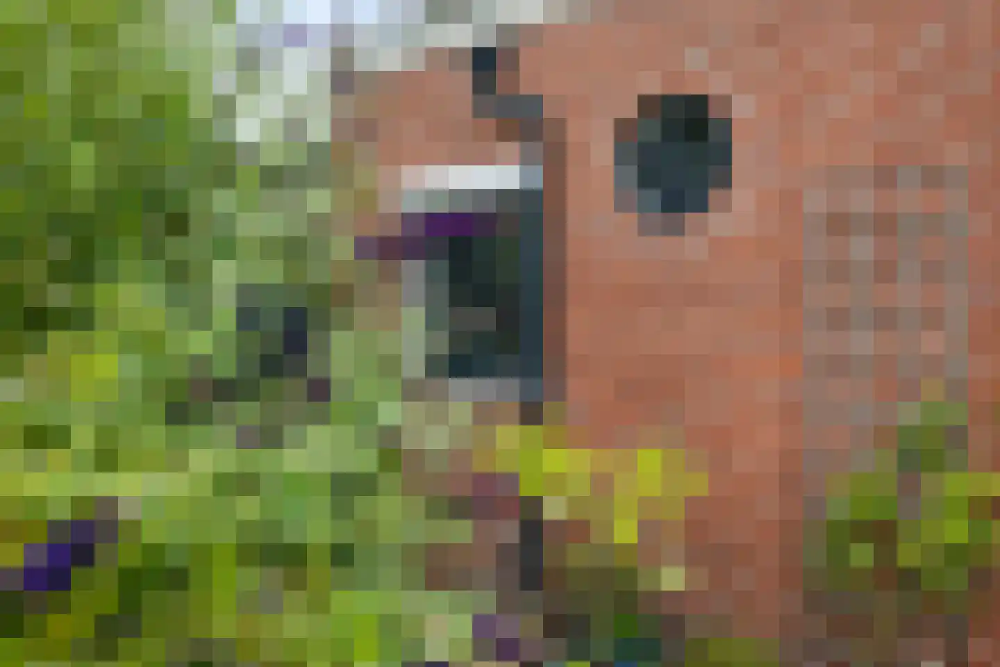 Beneden Oosterdiep 90 Veendam thumbnail 37