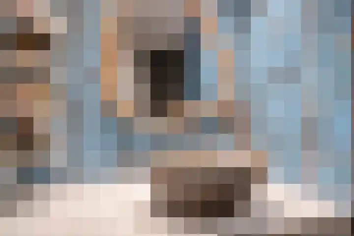Beneden Veensloot 16 Meeden thumbnail 11