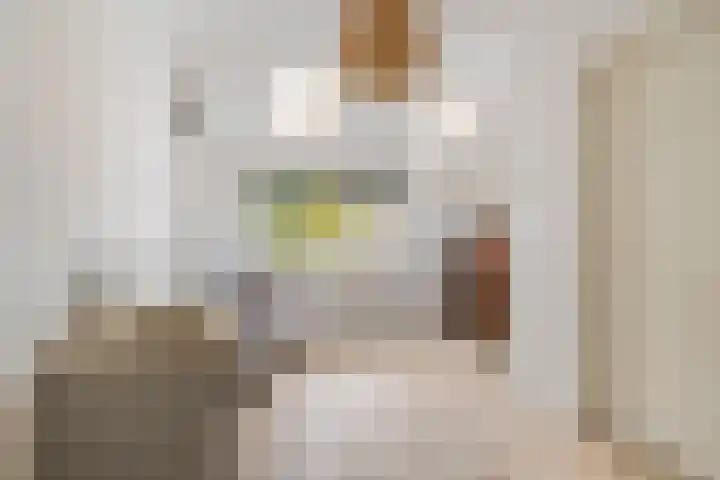 Beneden Veensloot 16 Meeden thumbnail 13