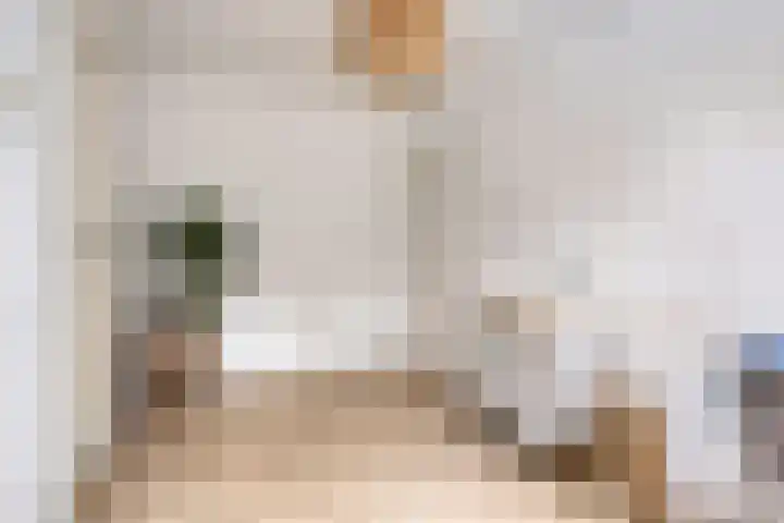 Beneden Veensloot 16 Meeden thumbnail 14