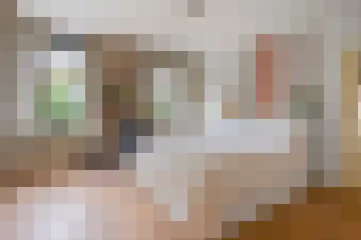 Beneden Veensloot 16 Meeden thumbnail 15