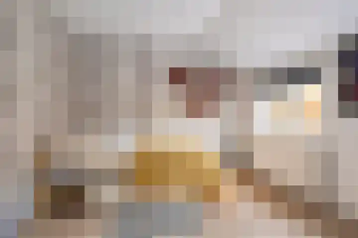 Beneden Veensloot 16 Meeden thumbnail 17