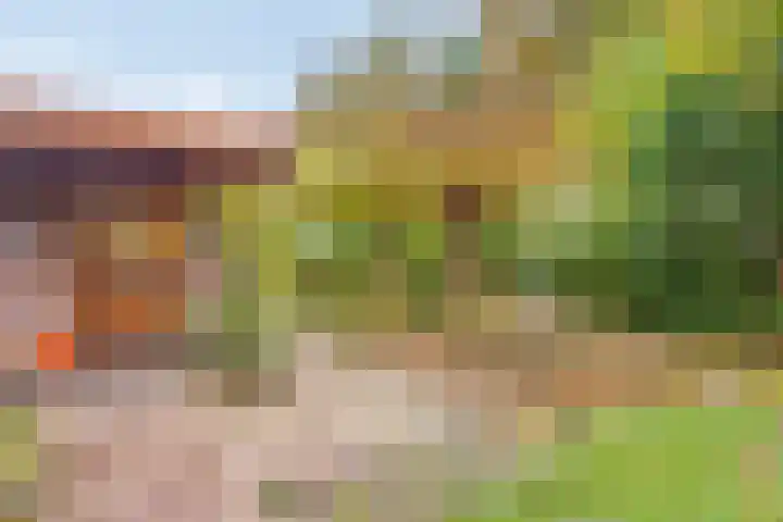 Beneden Veensloot 16 Meeden thumbnail 19