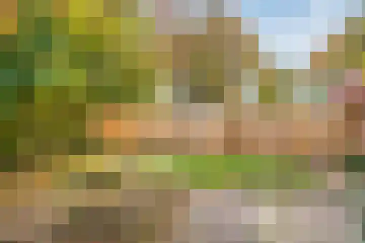 Beneden Veensloot 16 Meeden thumbnail 20