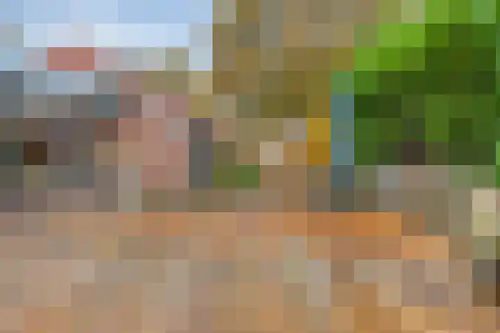 Beneden Veensloot 16 Meeden thumbnail 21