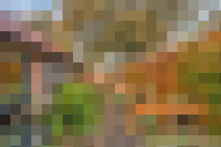 Beneden Veensloot 16 Meeden thumbnail 22