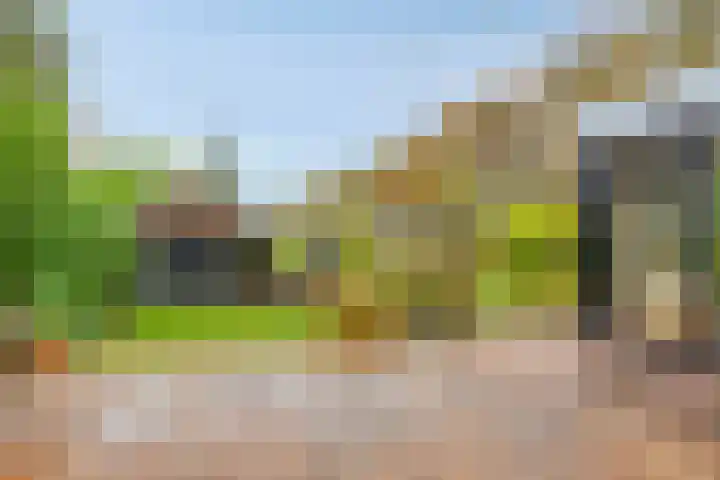 Beneden Veensloot 16 Meeden thumbnail 23