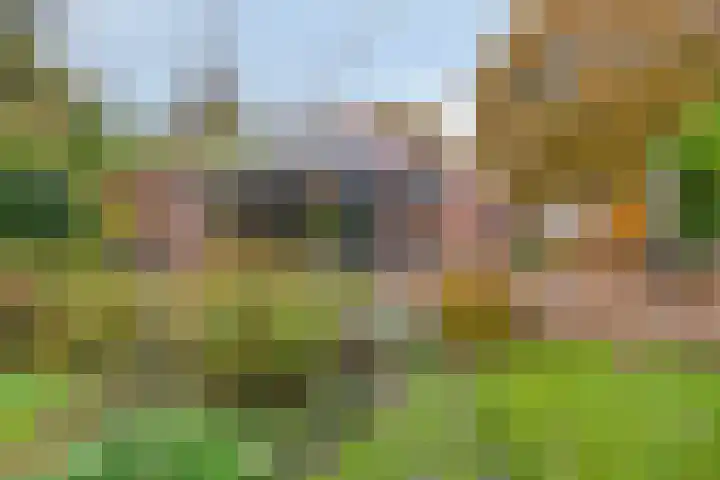 Beneden Veensloot 16 Meeden thumbnail 24
