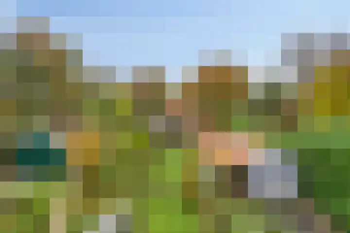 Beneden Veensloot 16 Meeden thumbnail 25
